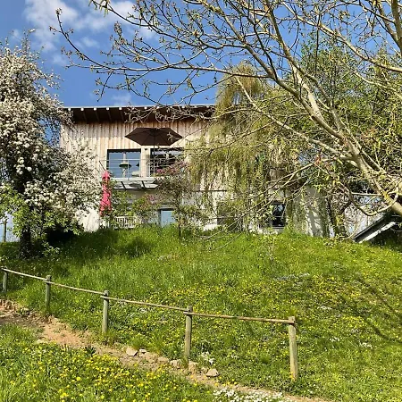 Apartment Moselglueck
