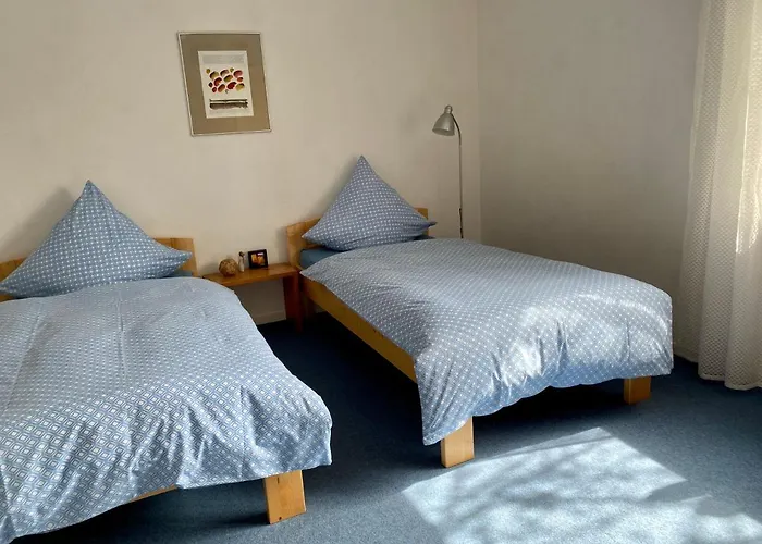 Apartman Moselglueck *